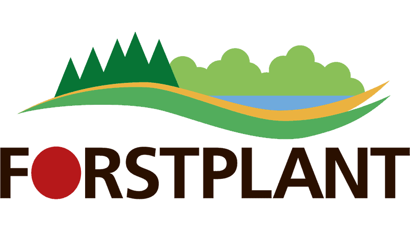 Forstplant